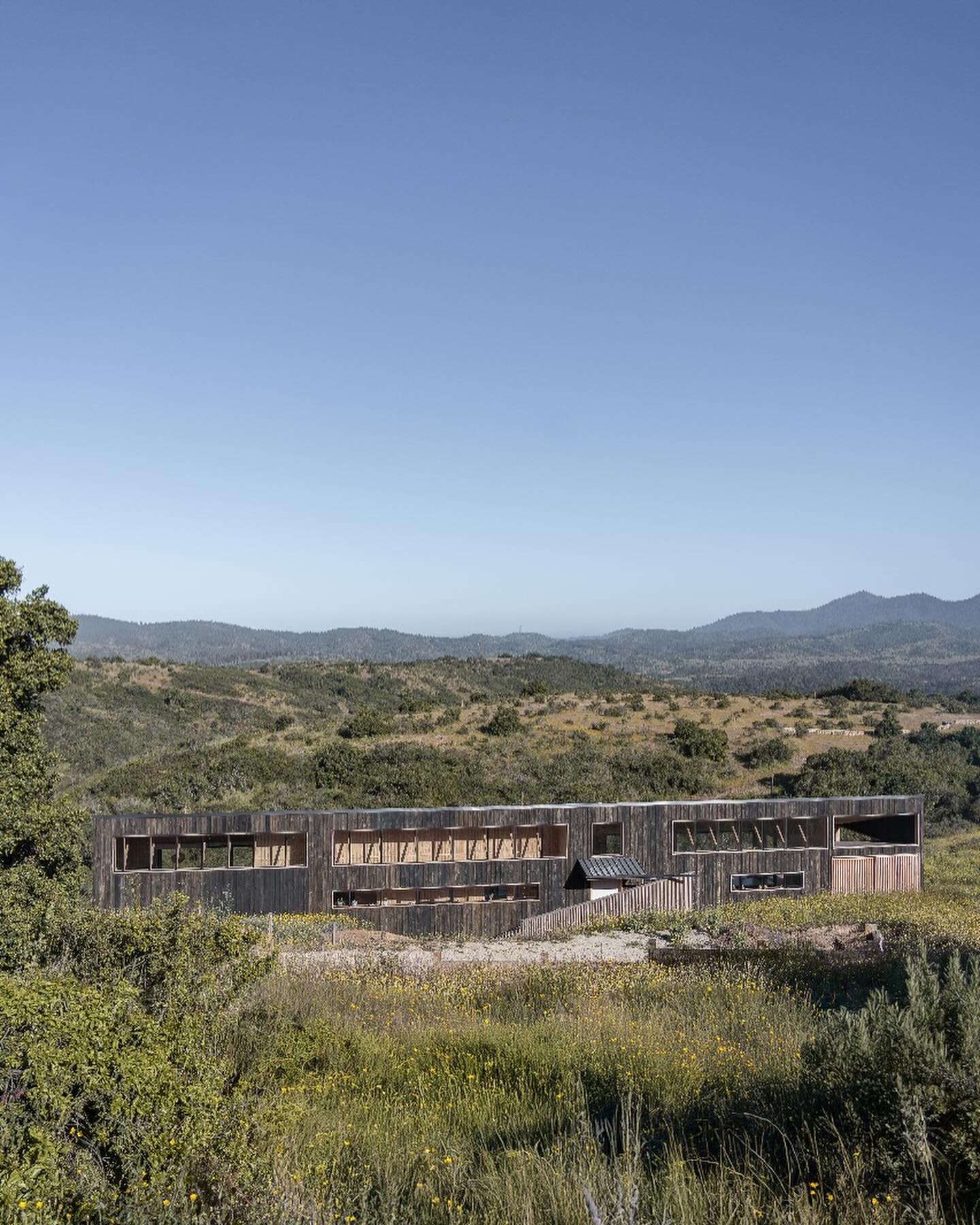 Espacio habitado — proyecto Triarq